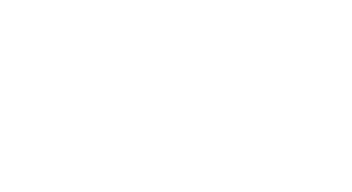 Elevated Psychotherapy Services in Denver and online throughout Colorado